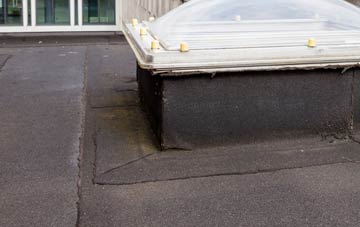 disadvantages of Pen Bedw flat roofs